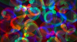 Timeline: Biological Contributions