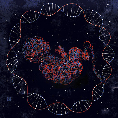 Timeline: Genetics and DNA contributions
