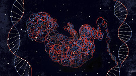 Timeline: Genetics and DNA contributions