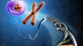 Timeline: Genetics and DNA contributions