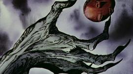 Timeline: Darwins Observations