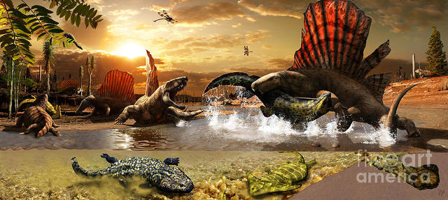 Schwarzkopf, Geologic Timeline | Timetoast timelines