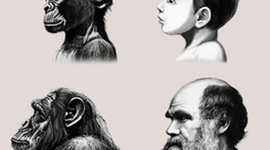 Timeline: Una nueva propuesta sobre la evolución de la mente