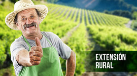 Timeline: Evolución de la Extensión Agrícola