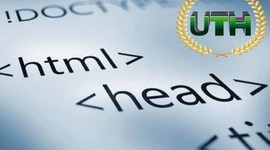 Timeline: Historia Del HTML