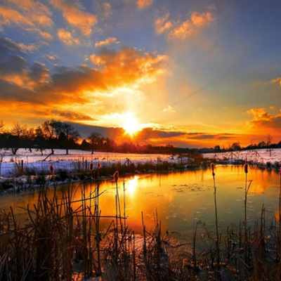 Timeline: Emily Reddel-15 Events