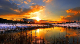 Timeline: Emily Reddel-15 Events