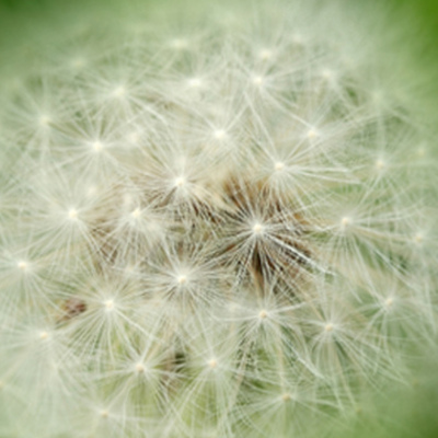 Timeline: La Evaluación Educativa