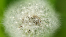 Timeline: La Evaluación Educativa