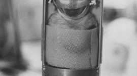 Timeline: Space Awesomness By; Victoria and Jacob