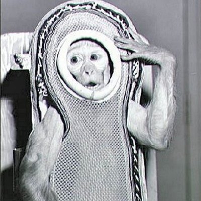 Timeline: shelby and destiny SPACE TIMELINE