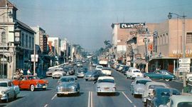 Timeline: The 1950's