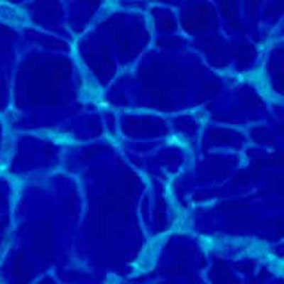 Timeline: History of Community Colleges and SCC