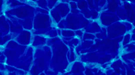 Timeline: History of Community Colleges and SCC