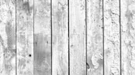 Timeline: Russian Revolution