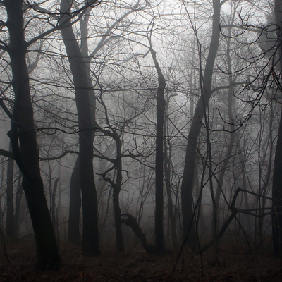 Timeline: of Beast and Beauty