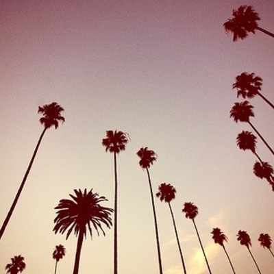 Timeline: Sistemas operativos