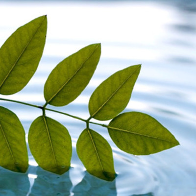 Timeline: The timeline of My life Project 1 English