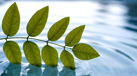 Timeline: The timeline of My life Project 1 English