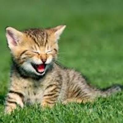 Timeline: ma vie de 2004 a 2104