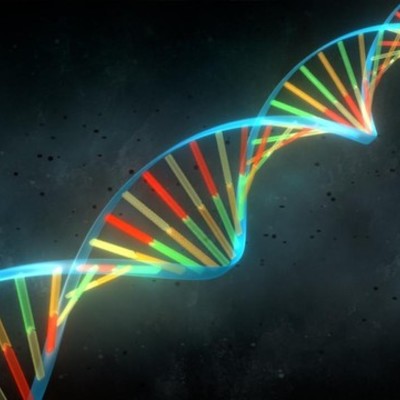 Timeline: Principales descubrimientos del ADN