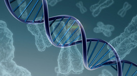 Timeline: Hitos en la historia de la genética