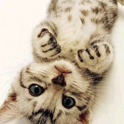 Timeline: MY FAMILY LIFE*