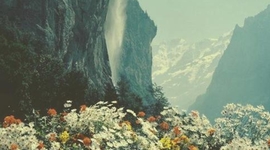 Timeline: Luna éternelle âme