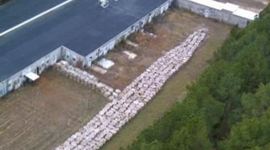 Timeline: Timeline: From bunker blast to disposal debate