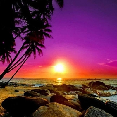 Timeline: Sierra Eastridge