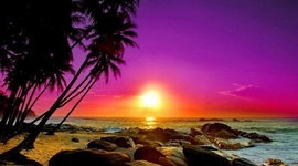 Timeline: Sierra Eastridge