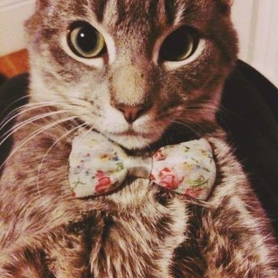 Timeline: My Timeline