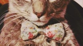 Timeline: My Timeline