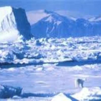 Timeline: Исследователи Арктики