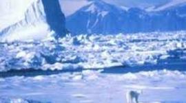 Timeline: Исследователи Арктики