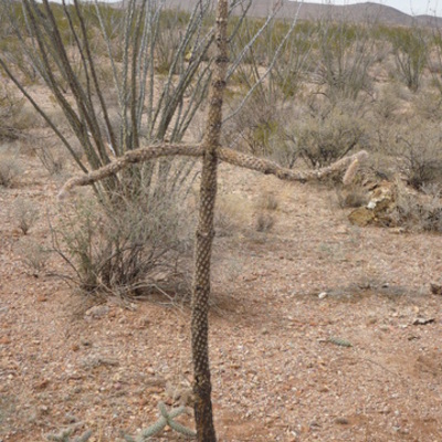 Timeline: Mi trayectoria