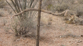 Timeline: Mi trayectoria