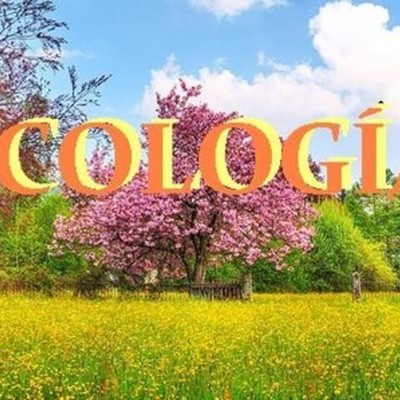 Timeline: Bases De La Ecologia