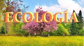 Timeline: Bases De La Ecologia