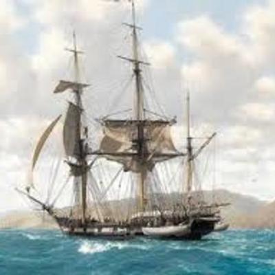 Timeline: Beagles Voyage