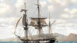 Timeline: Beagles Voyage