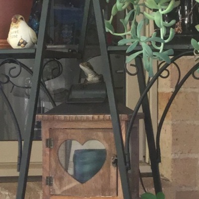 Timeline: Connectedness