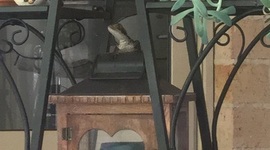 Timeline: Connectedness