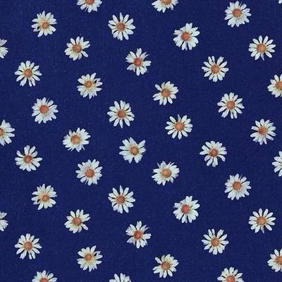 Timeline: Desarrollo y Turismo Sustentable