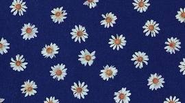 Timeline: Desarrollo y Turismo Sustentable