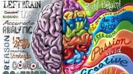 Timeline: Escuelas psicológicas