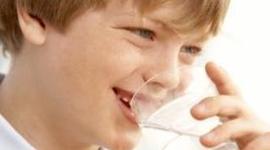 Timeline: The "life" of The Water Project