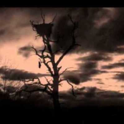 Timeline: In the Shadow of Blackbirds