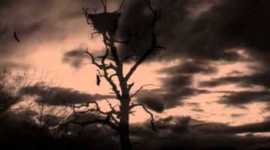 Timeline: In the Shadow of Blackbirds