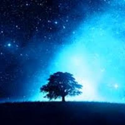 Timeline: Evolución Ecologia